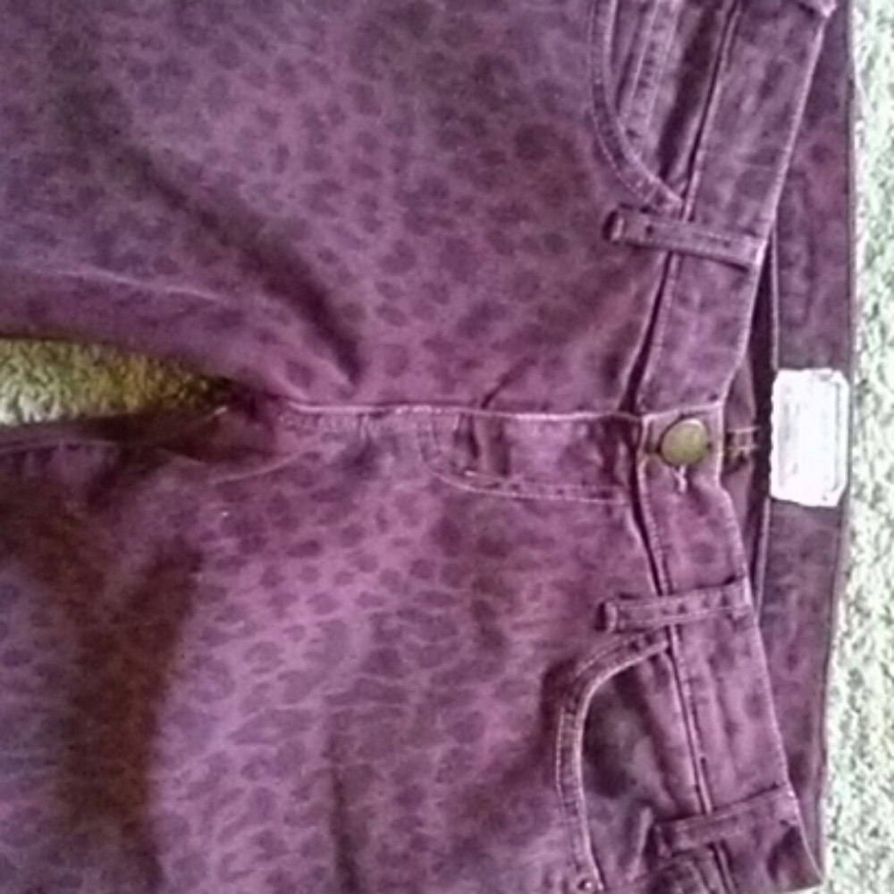 Current Elliot jeans